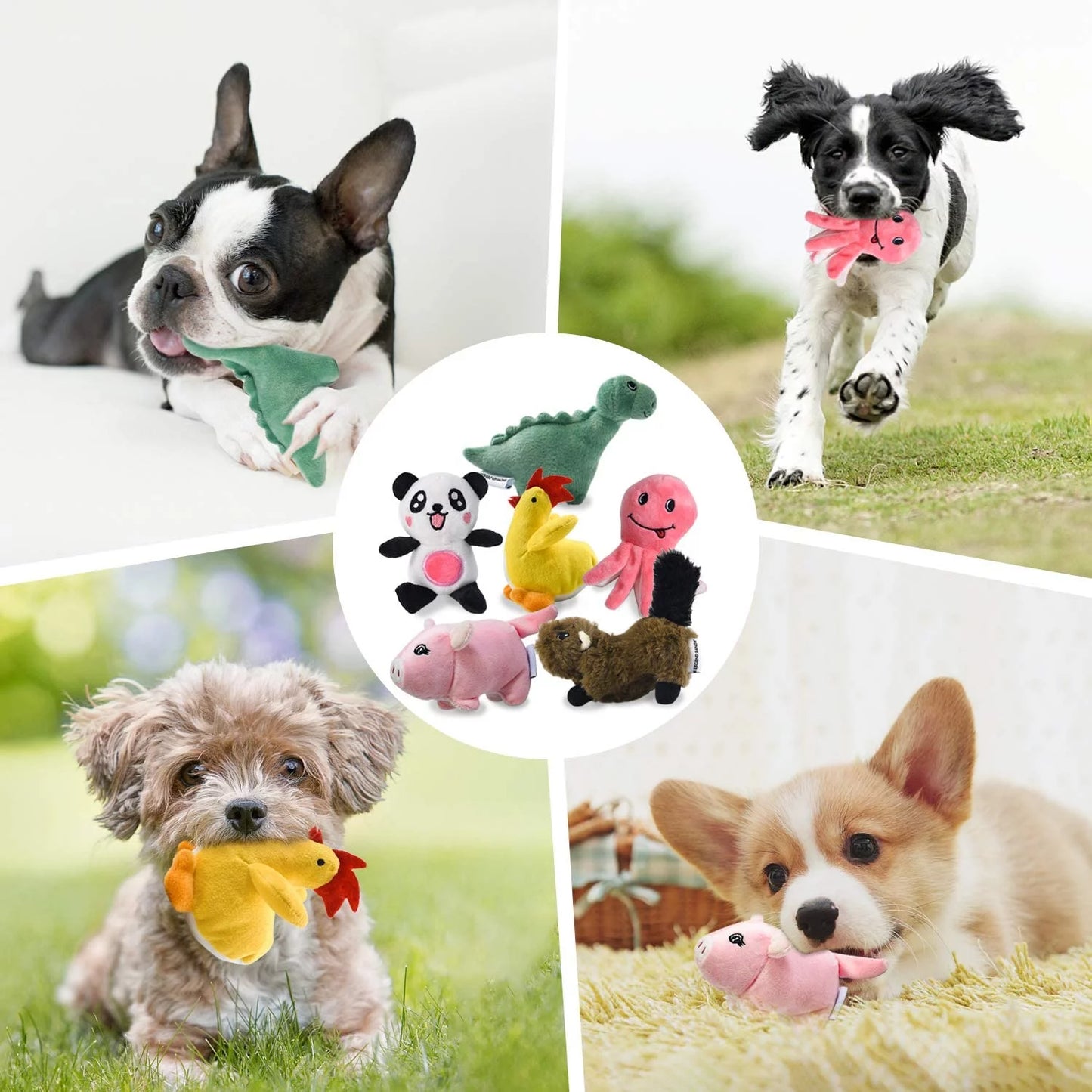 Squeaky Dog Toys for Puppy Small Medium Dogs, Stuffed Samll Dog Toys Bulk with 12 Plush Pet Dog Toy Set, Cute Safe Dog Chew Toys Pack for Puppies Teething (6 Dog Toys)